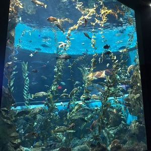 Meet your Posher, Jillian